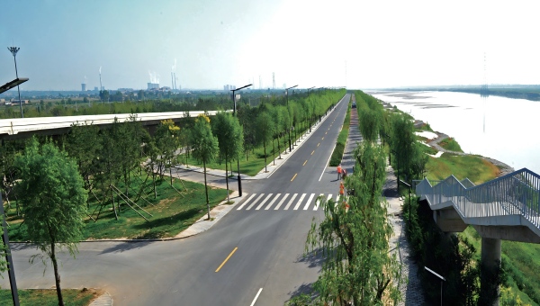 渭河华阴段堤顶道路及绿化工程